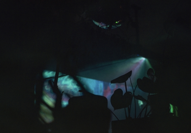 6 Banket 7, Audio Video Bass, Faraji, Ostrava b